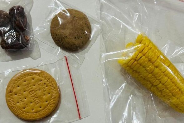 tampilan-menu-mbg-yang-diterima-siswa-di-kecamatan-lubuk-baja-batam-kepri-dok-istimewa-1771921981077_169