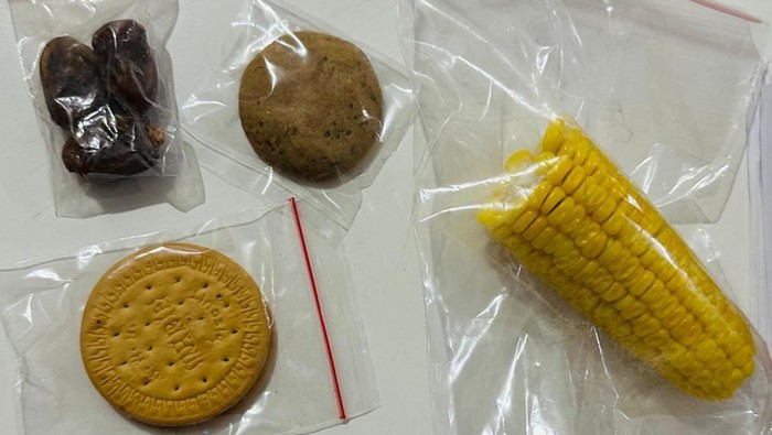 tampilan-menu-mbg-yang-diterima-siswa-di-kecamatan-lubuk-baja-batam-kepri-dok-istimewa-1771921981077_169