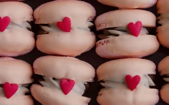 20340-ilustrasi-alternatif-makanan-sebagai-kado-valentine-pexelsalina-matveycheva